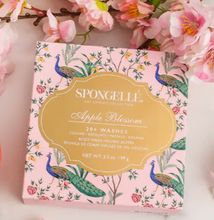 Load image into Gallery viewer, Spongelle - Infused and Exfoliating Sponge