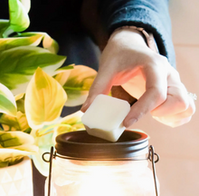 Load image into Gallery viewer, Sunday Morning - Wax Melts