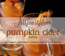 Load image into Gallery viewer, Pumpkin Cider | Squeeze Wax Melt