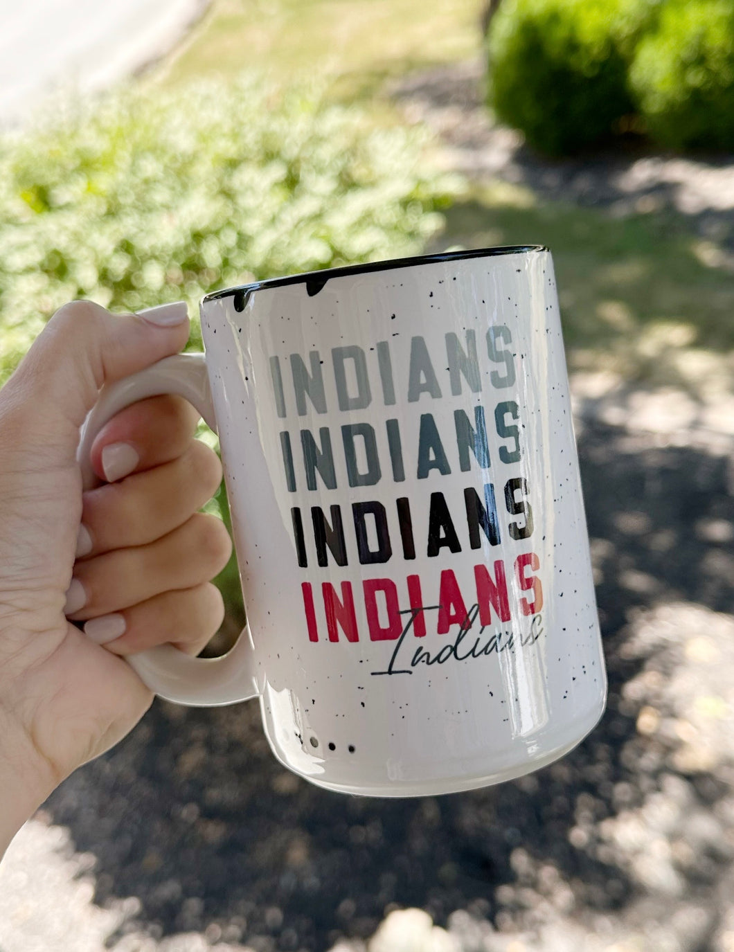 Color Me Pretty - Indians Mug