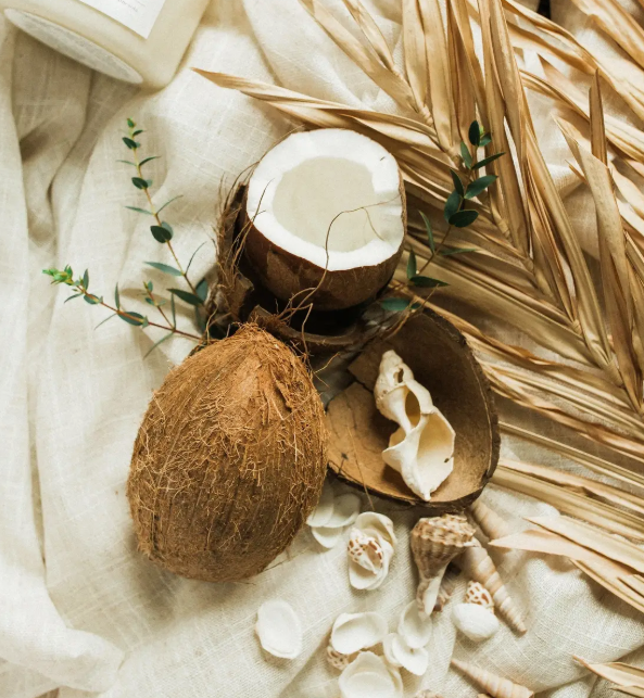 Coconut Cabana Soy Candle