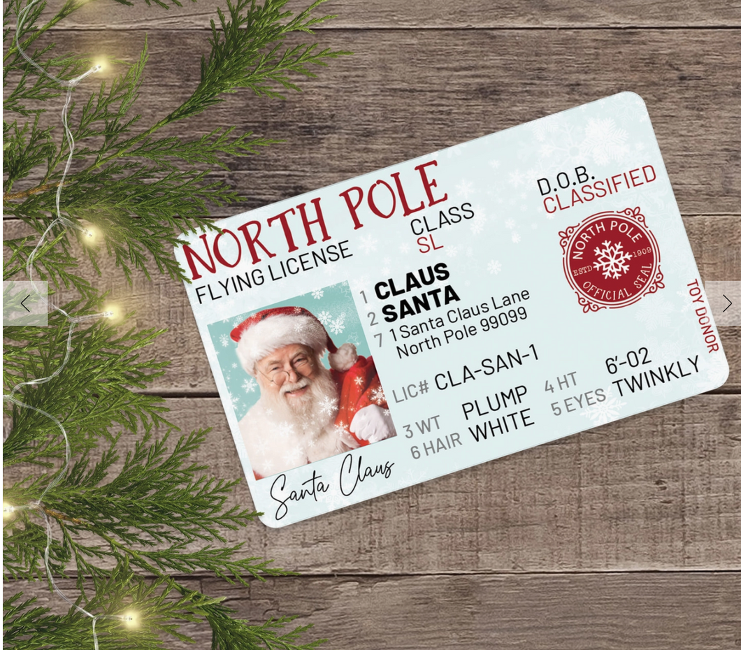 Santa's Lost Flying License